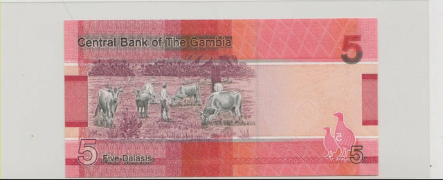 Гамбия , 5 даласи , 2023 г. , Unc . - 2/2