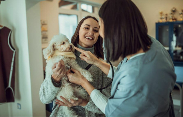 Юнивет - вет клиника Домодедово