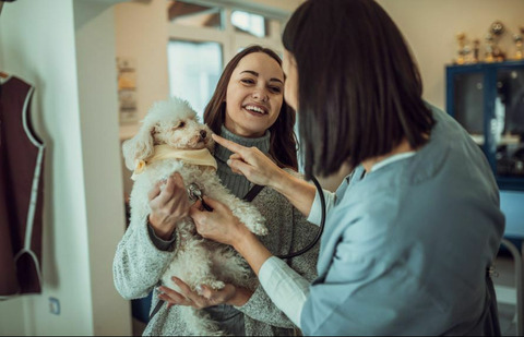 Юнивет - вет клиника Домодедово