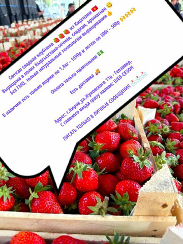 КЛУБНИКА 🍓 ИЗ КИРГИЗИИ - 1/5