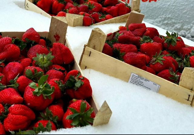 КЛУБНИКА 🍓 ИЗ КИРГИЗИИ - 4/5