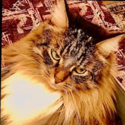 ООО КОЭМЗ групп