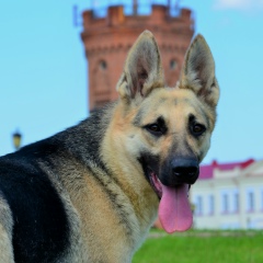 Ирина
