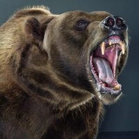 Александр Симонов